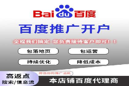 顶级SEM运营公司案例分析